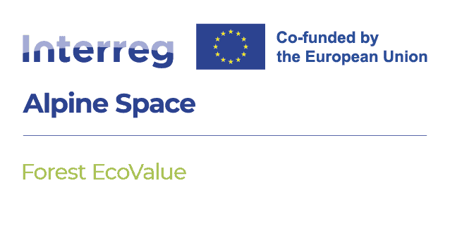 FOREST ECO VAKLUE LOGO