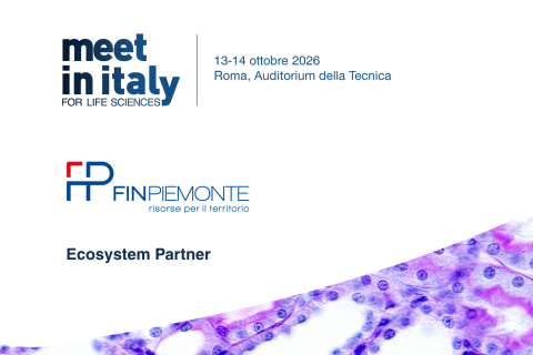 meet in italy