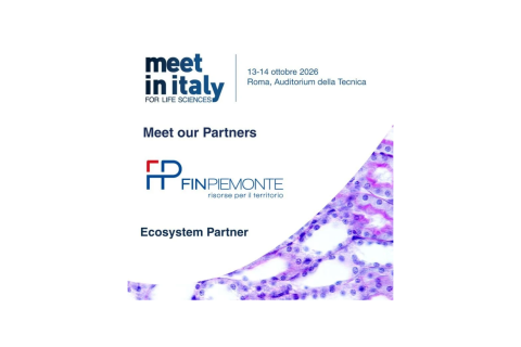 meet